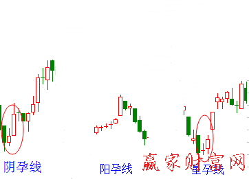 股票投资 股票术语 正文 孕线一般分为三种形态①前一条k线是