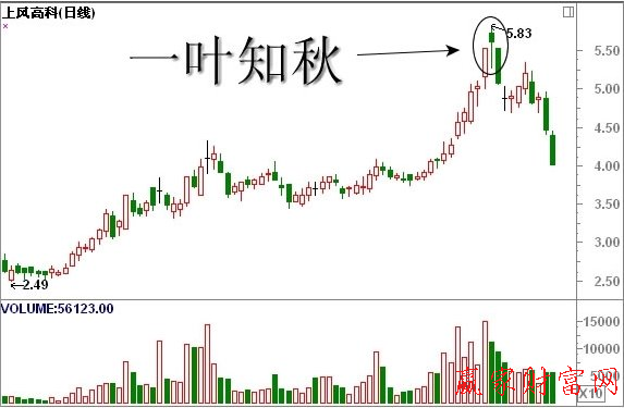 一叶知秋