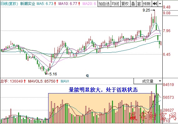 图2 新潮实业