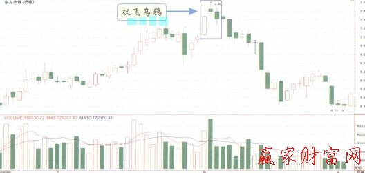 双飞乌鸦