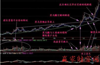 翻倍黑马