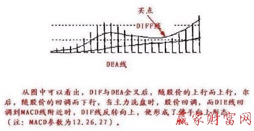 佛手向上形态