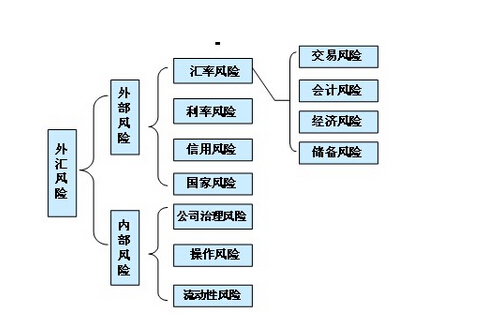 外汇风险获利比例