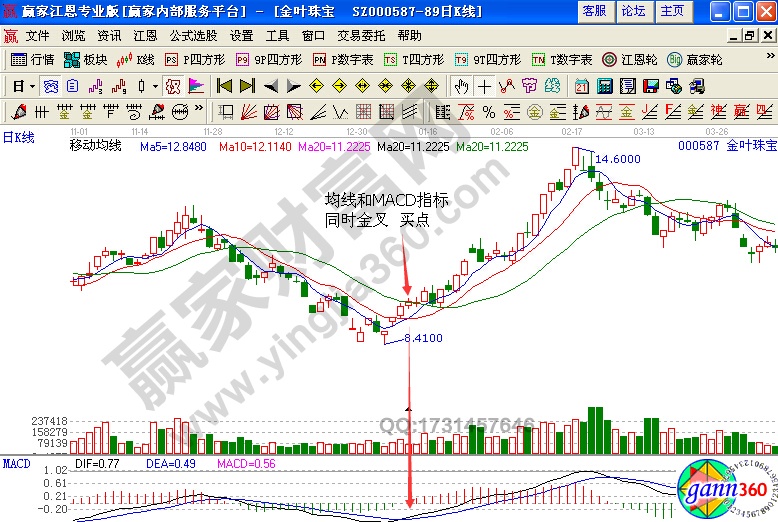 ST金叶(000587)股价见底后开始强势上涨行情