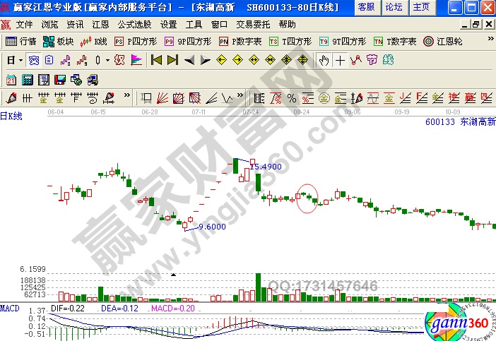 600133东湖高新2007年7月4日至2007年10月12日的日K线图