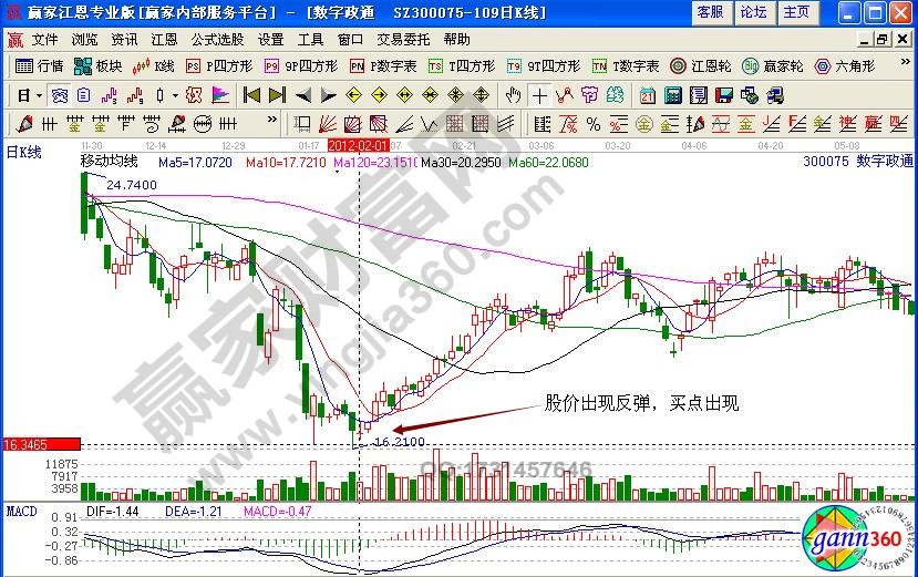 数字政通反弹