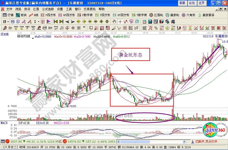 “黄金坑”捉涨停黑马的技术要点