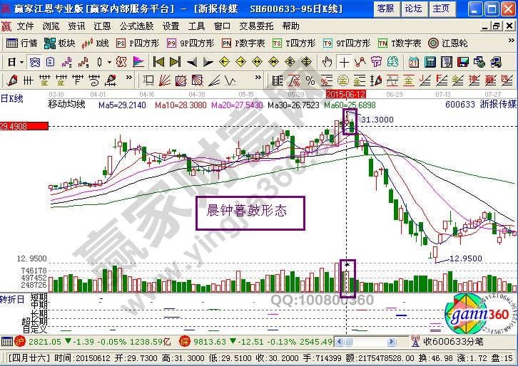 晨钟暮鼓形态鉴赏