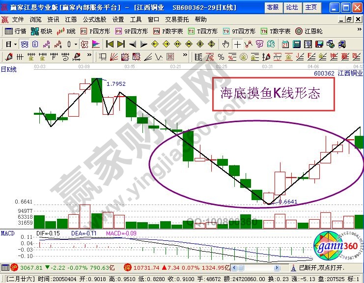 海底摸鱼K线图解