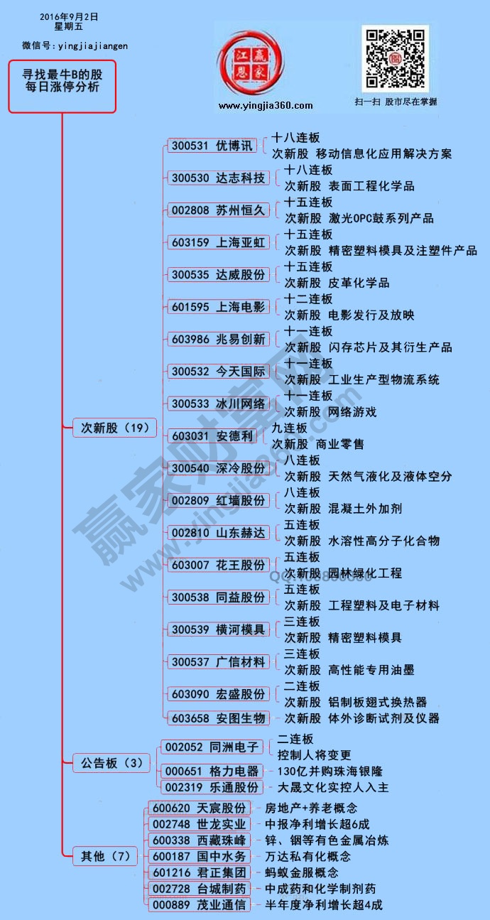 涨停个股