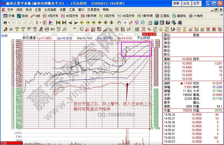 天山纺织