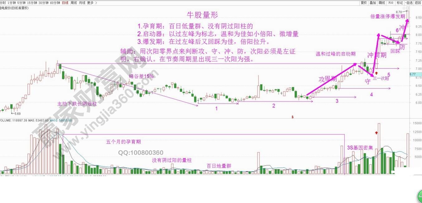 牛股量形佳电股份