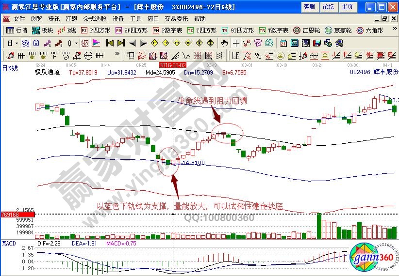 辉丰股份极反通道