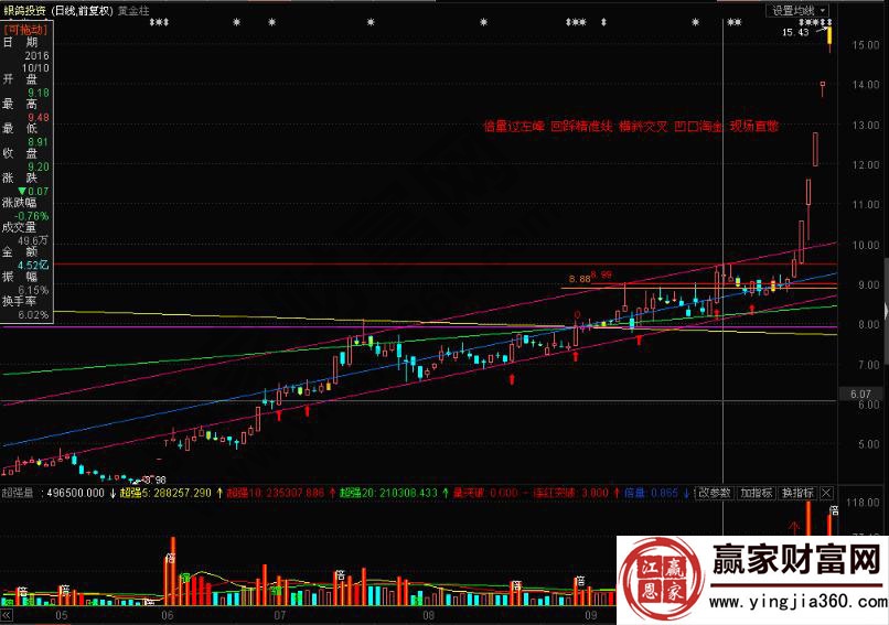 银鸽投资600069