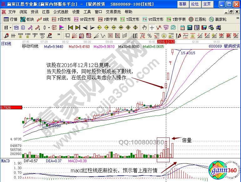 银鸽投资介入点