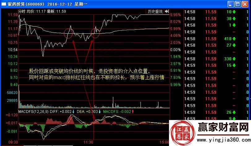 银鸽投资分时介入点