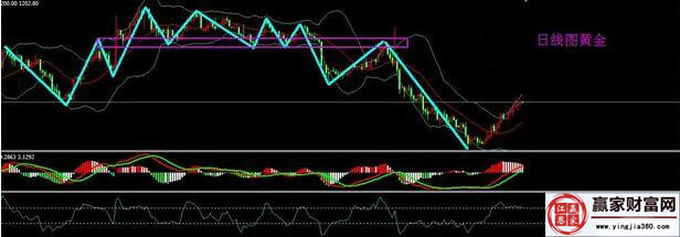 黄金日线图