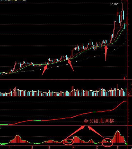 主力追踪指标公式