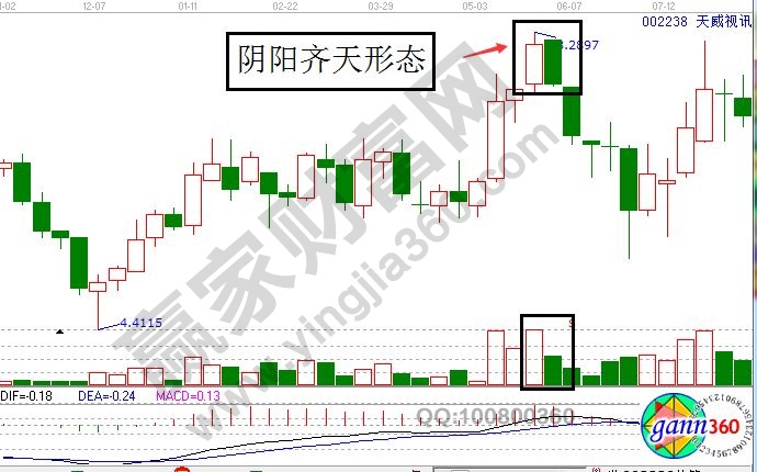 阴阳齐天形态.jpg