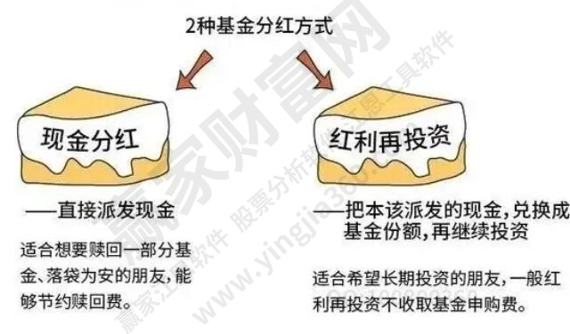 基金分红方式选哪种好